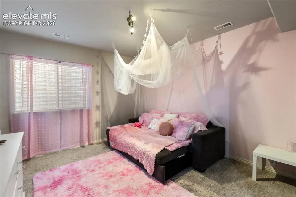 10388 Mt. Wilson Place Peyton, CO 80831