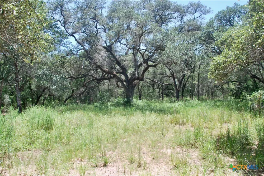 182 County Road 123F Hallettsville, TX 77964