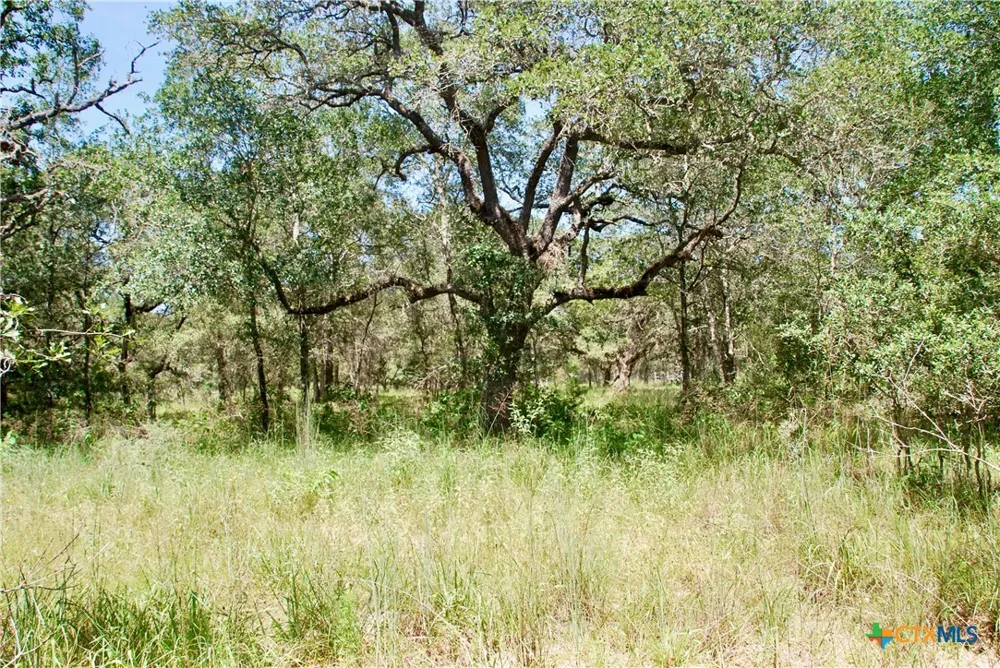 182 County Road 123F Hallettsville, TX 77964