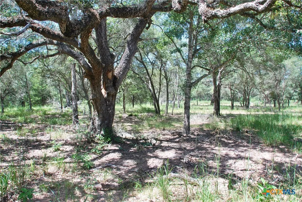 182 County Road 123F Hallettsville, TX 77964