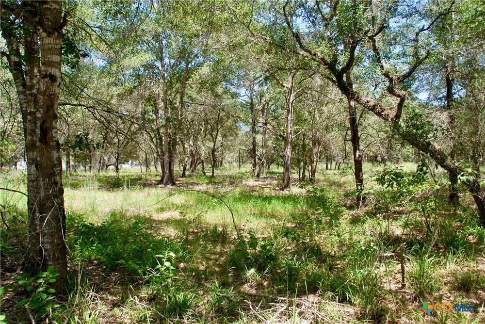 182 County Road 123F Hallettsville, TX 77964