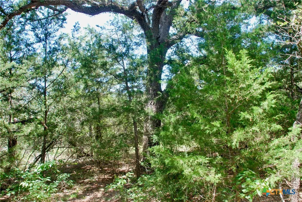 182 County Road 123F Hallettsville, TX 77964
