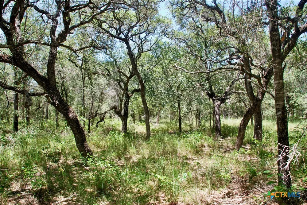182 County Road 123F Hallettsville, TX 77964