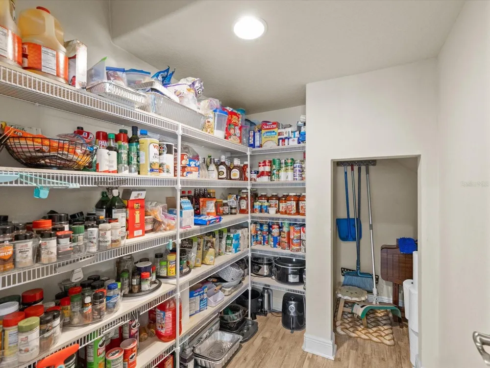 7117 PARK TREE DRIVE Tampa, FL 33625