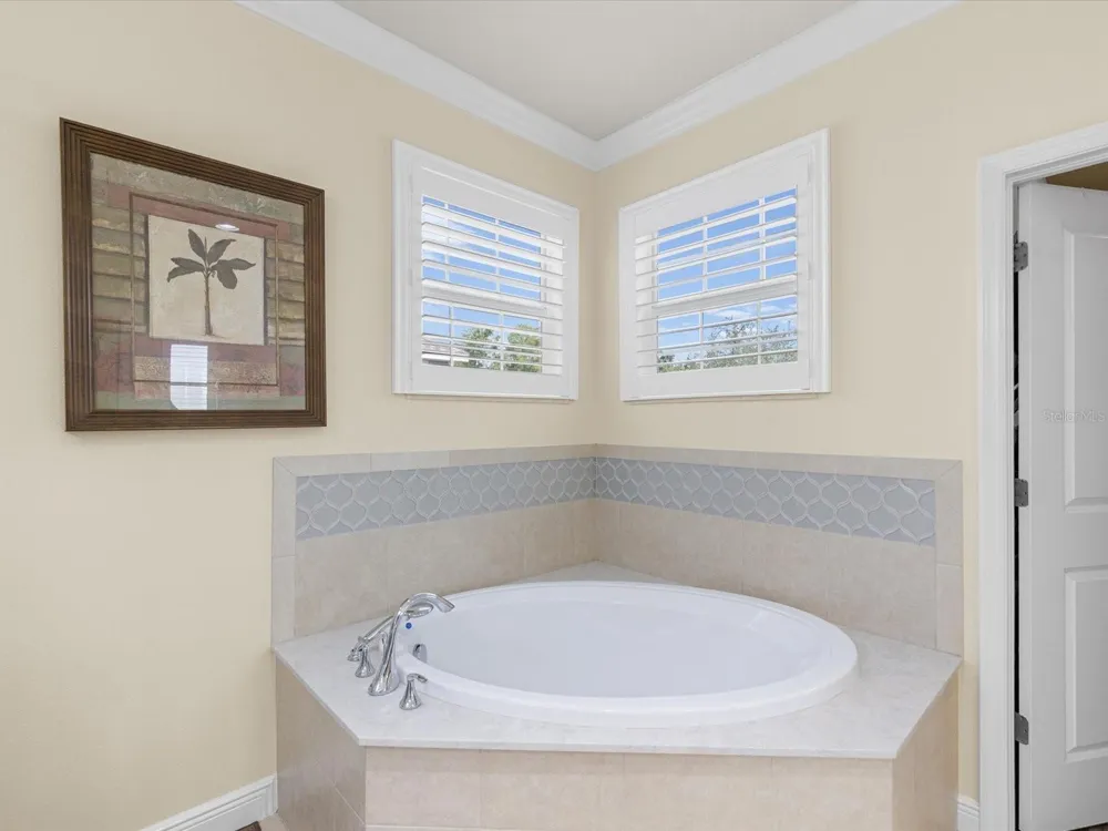 7117 PARK TREE DRIVE Tampa, FL 33625