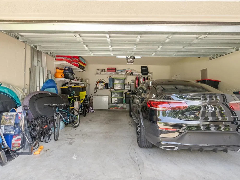 7117 PARK TREE DRIVE Tampa, FL 33625