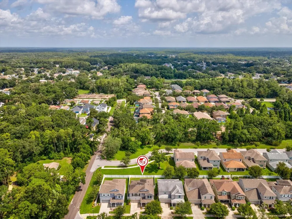 7117 PARK TREE DRIVE Tampa, FL 33625