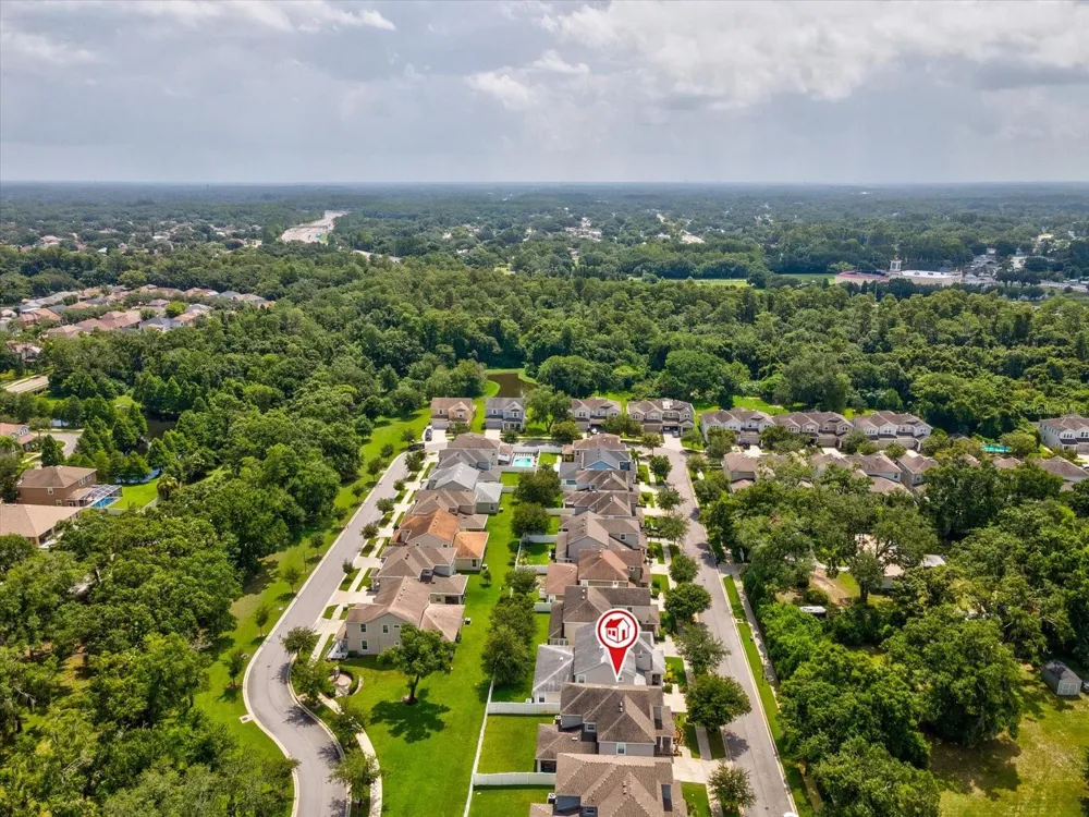 7117 PARK TREE DRIVE Tampa, FL 33625