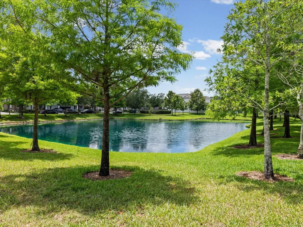 7117 PARK TREE DRIVE Tampa, FL 33625
