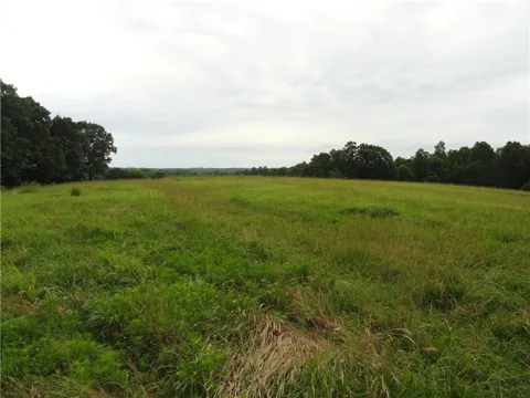 386 Reedville Road
