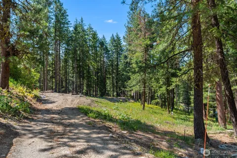 22125 Appaloosa Lane
