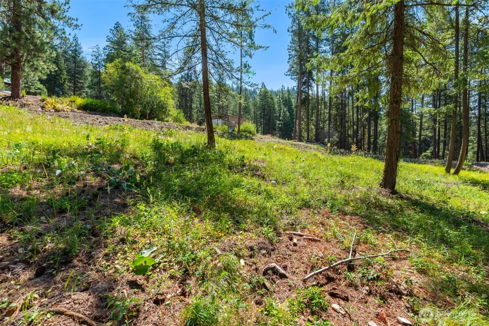 22125 Appaloosa Lane Leavenworth, WA 98826