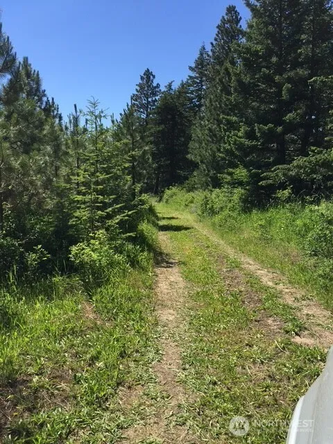 0 bare land Waitsburg, WA 99361