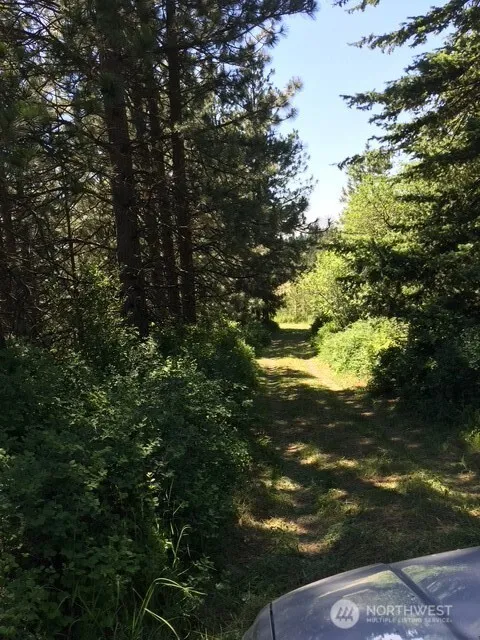 0 bare land Waitsburg, WA 99361