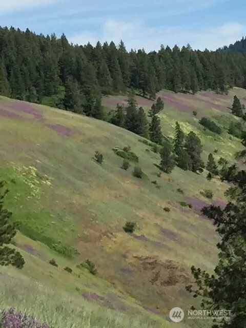 0 bare land Waitsburg, WA 99361