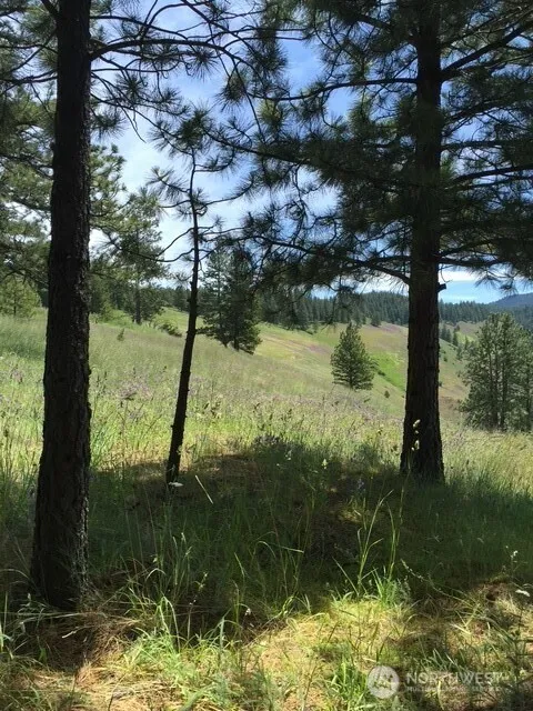 0 bare land Waitsburg, WA 99361
