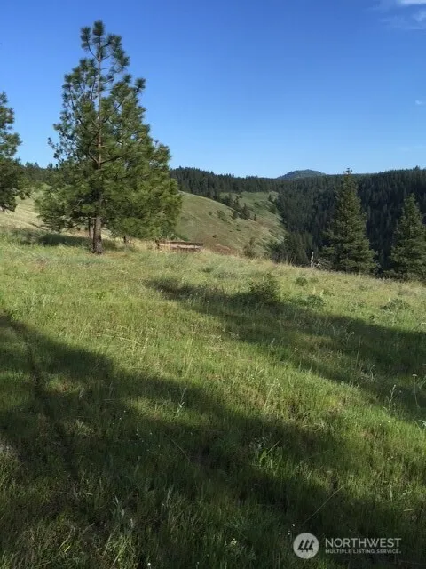 0 bare land