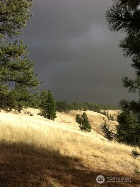 0 bare land Waitsburg, WA 99361