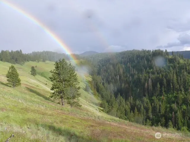 0 bare land Waitsburg, WA 99361