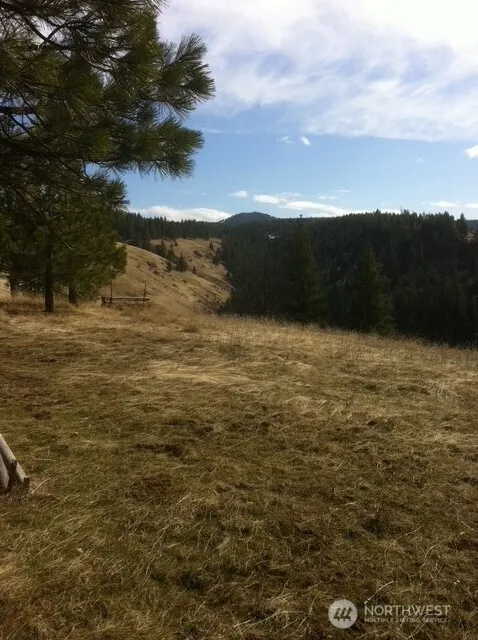 0 bare land Waitsburg, WA 99361