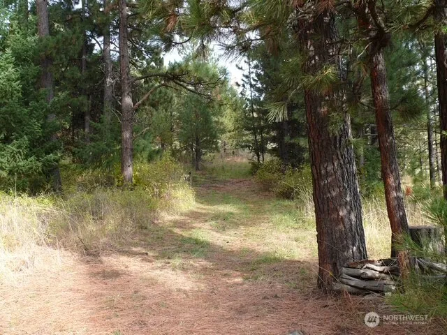 0 bare land Waitsburg, WA 99361