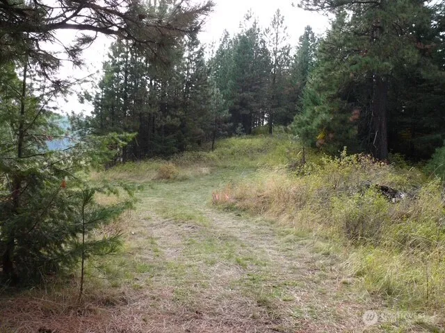 0 bare land Waitsburg, WA 99361