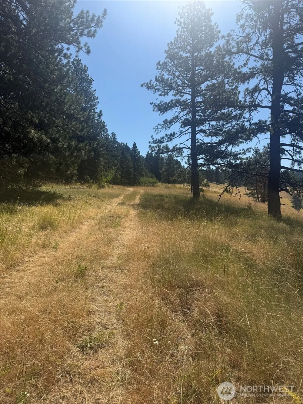 0 bare land Waitsburg, WA 99361