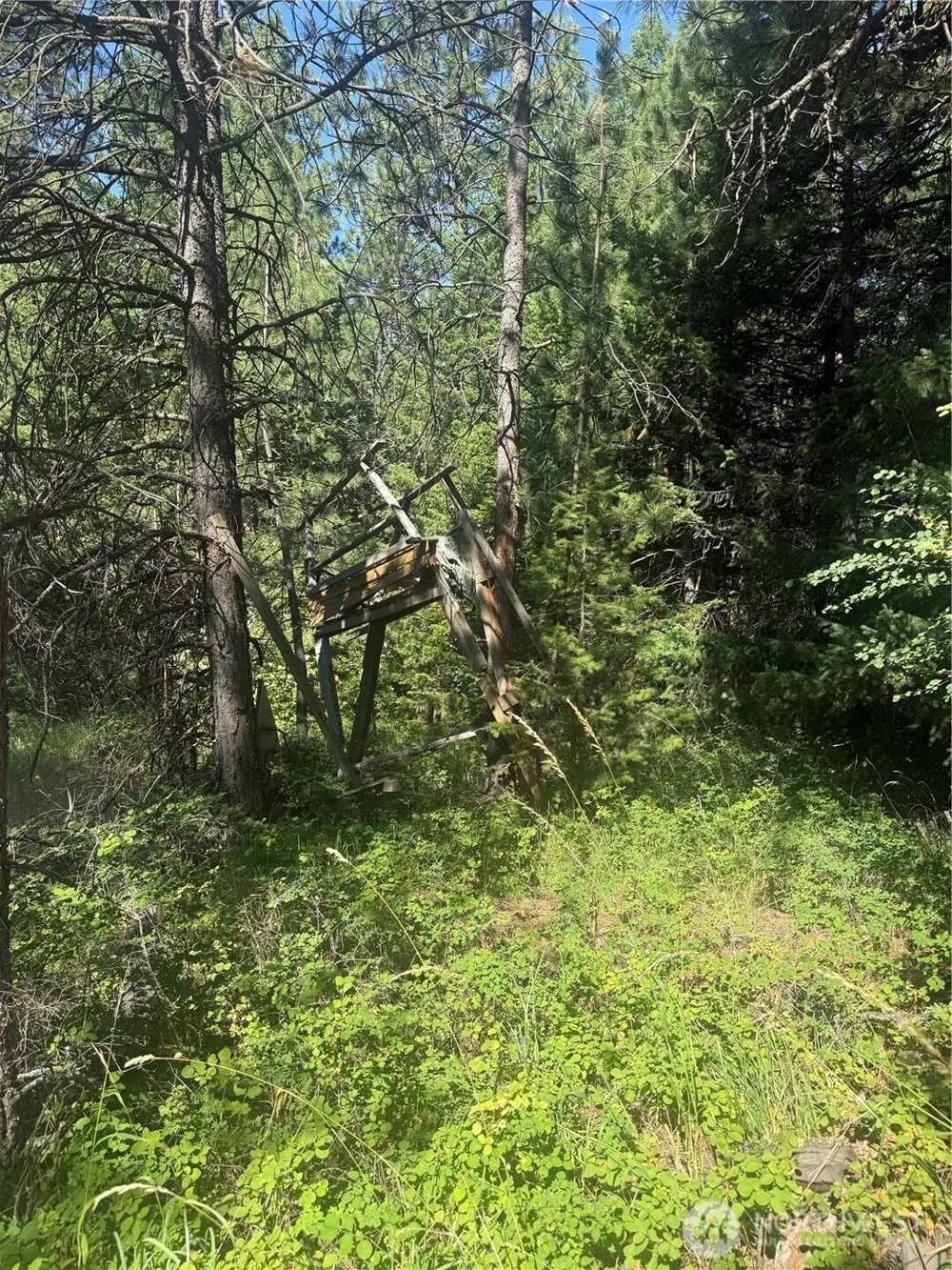 0 bare land Waitsburg, WA 99361