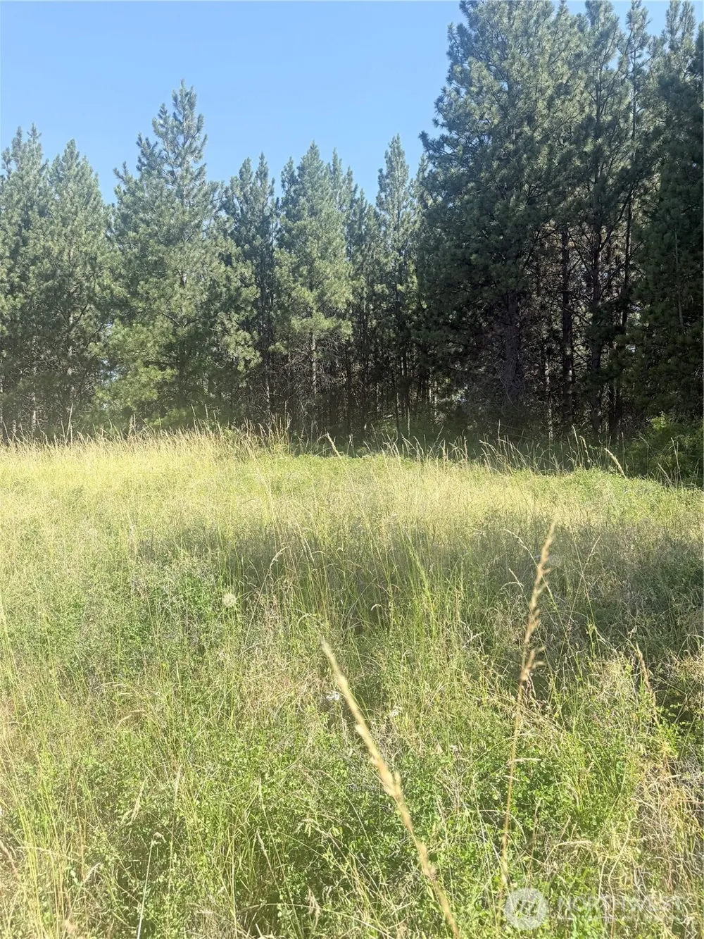 0 bare land Waitsburg, WA 99361