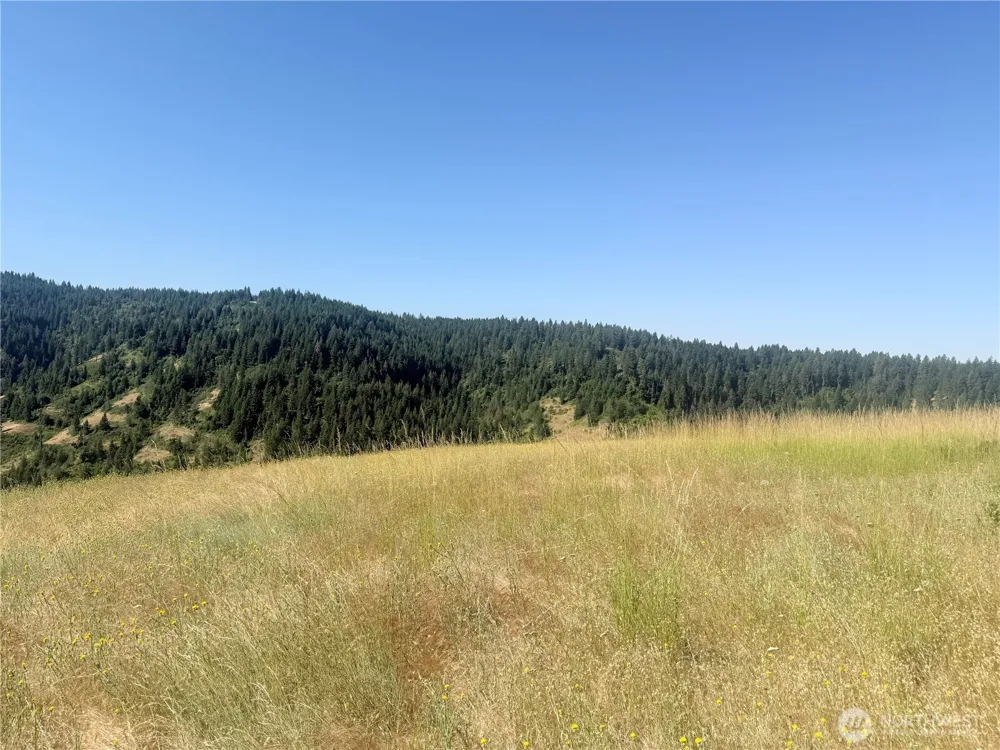 0 bare land Waitsburg, WA 99361