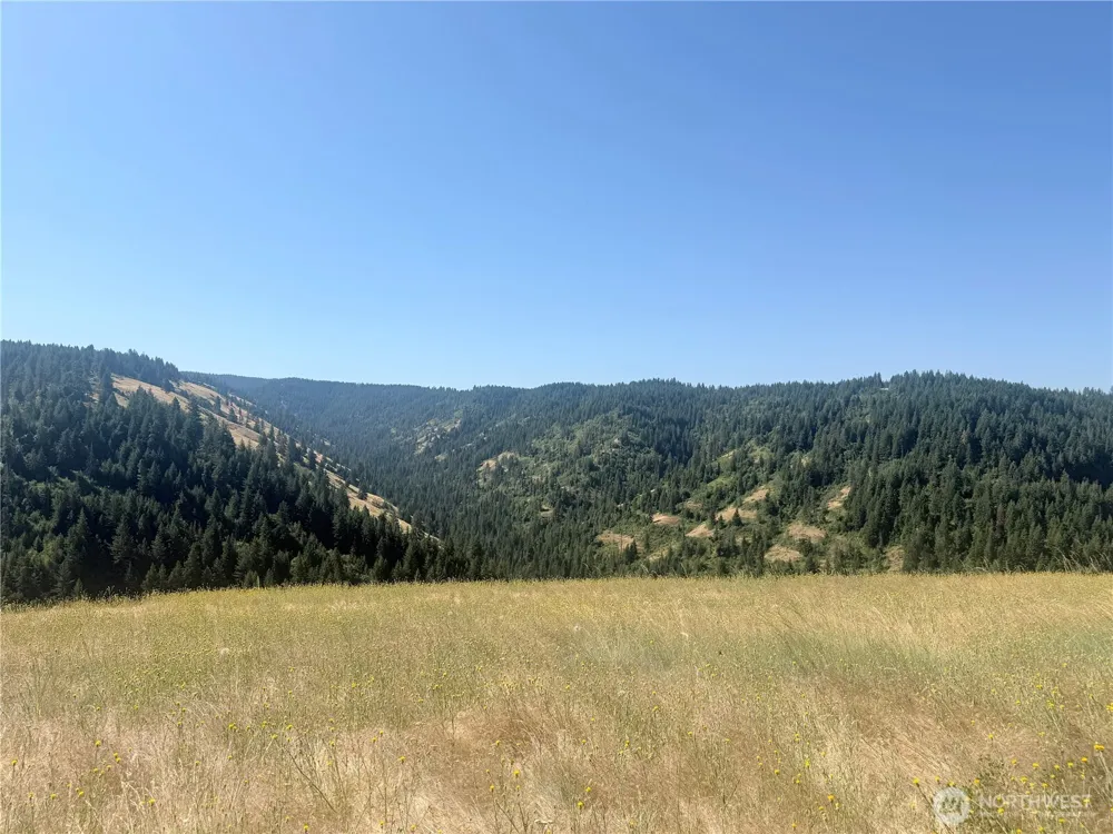 0 bare land Waitsburg, WA 99361