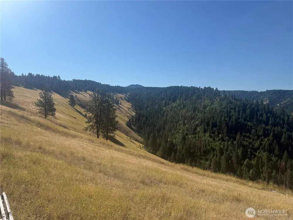 0 bare land Waitsburg, WA 99361