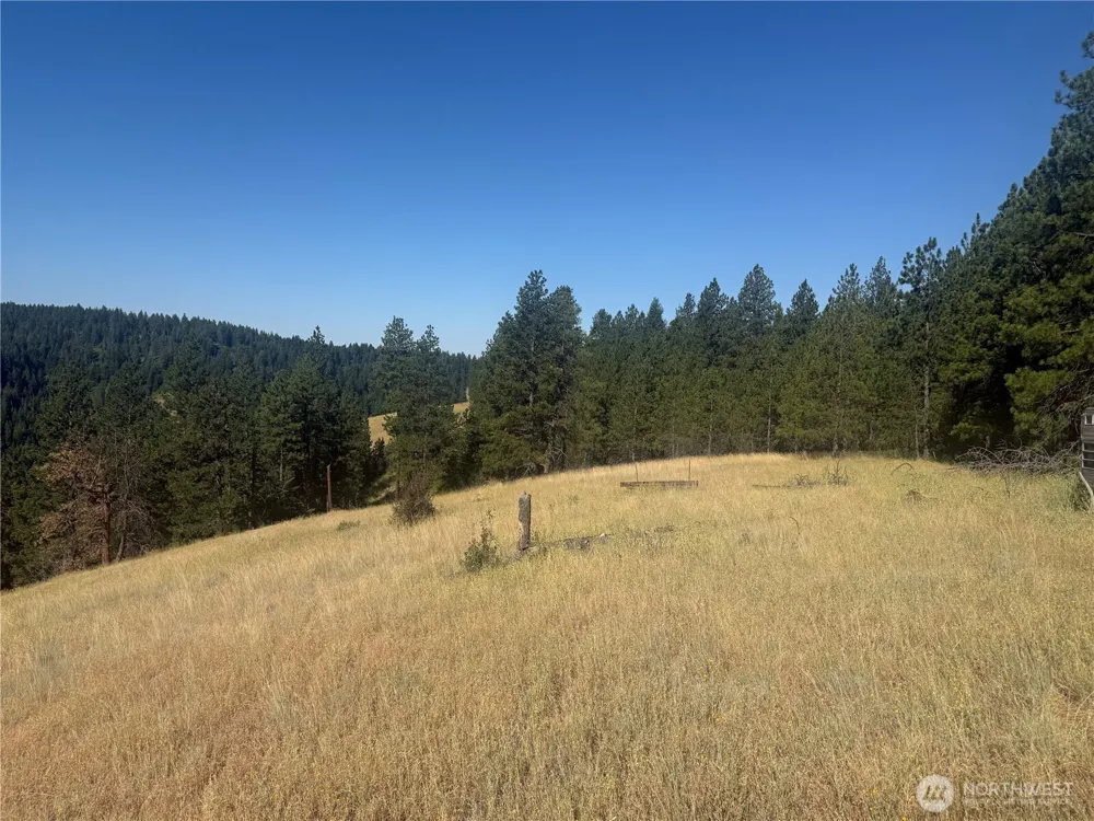 0 bare land Waitsburg, WA 99361