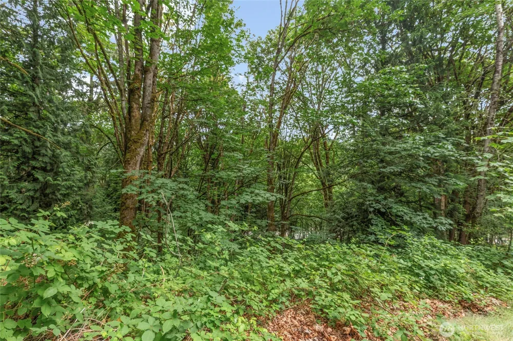 1234 Woodinville Duvall Road Woodinville, WA 98072