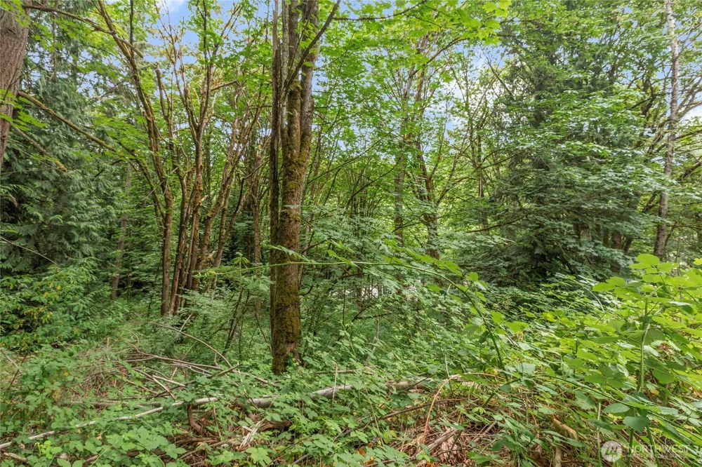 1234 Woodinville Duvall Road Woodinville, WA 98072