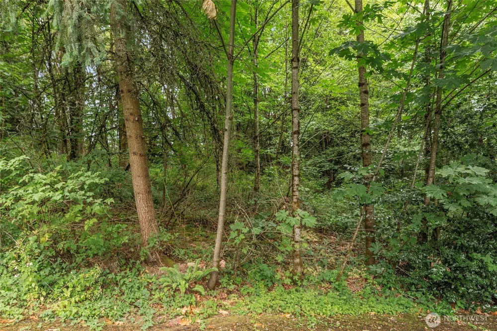 1234 Woodinville Duvall Road Woodinville, WA 98072