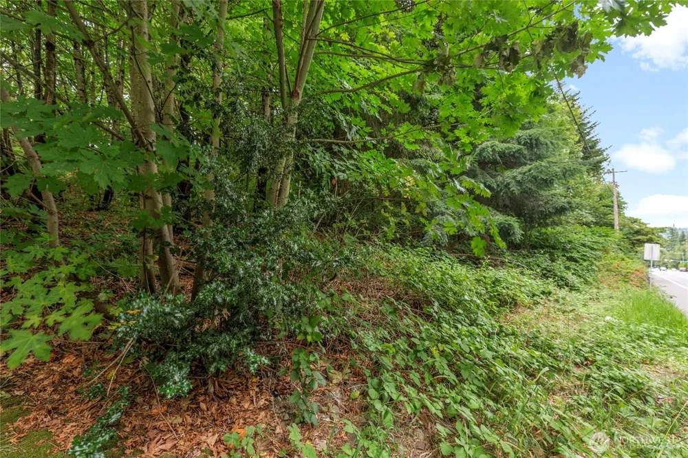1234 Woodinville Duvall Road Woodinville, WA 98072