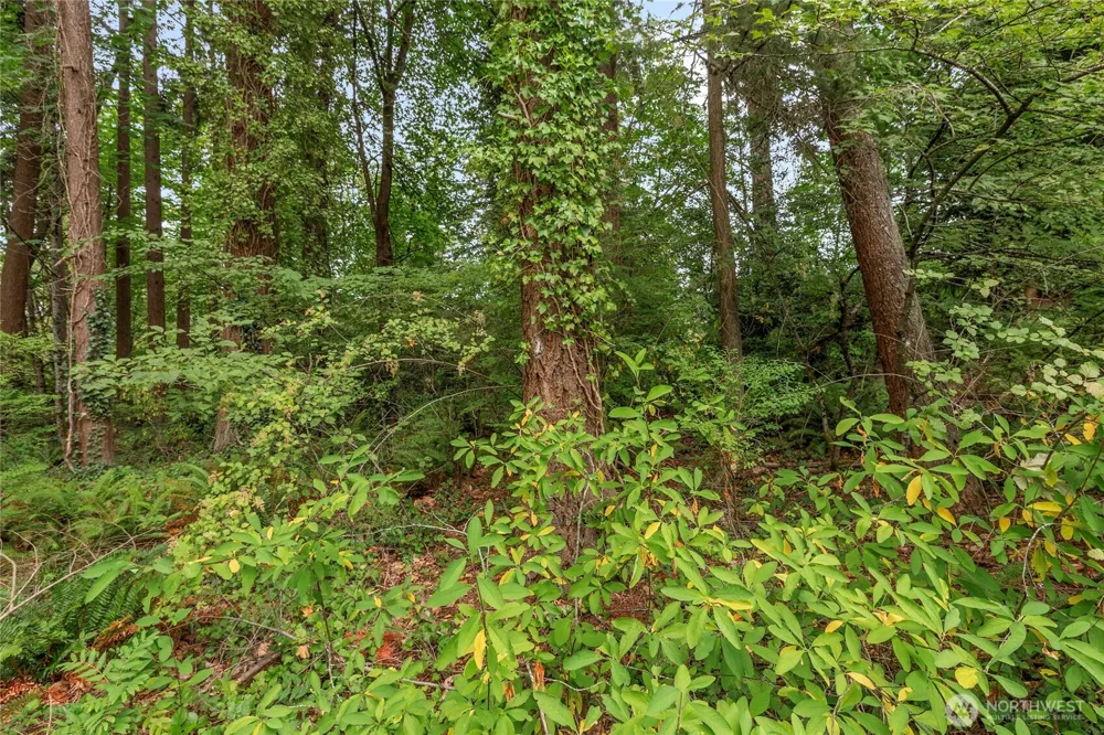 1234 Woodinville Duvall Road Woodinville, WA 98072