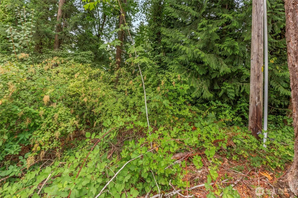 1234 Woodinville Duvall Road Woodinville, WA 98072