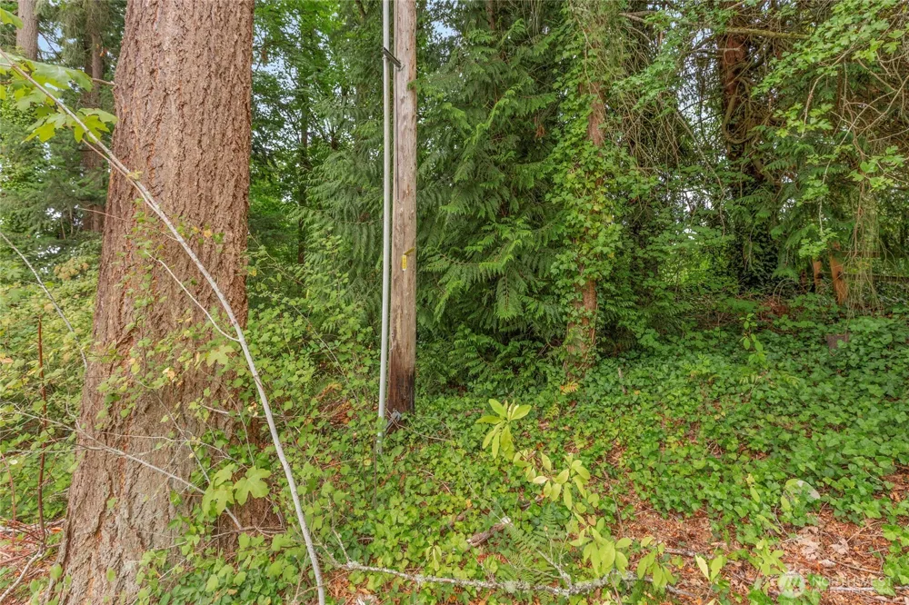 1234 Woodinville Duvall Road Woodinville, WA 98072