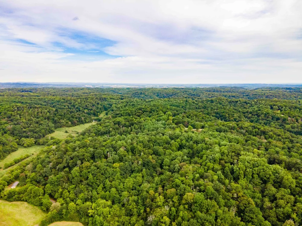 3045 Robert Skelley Rd Columbia, TN 38401