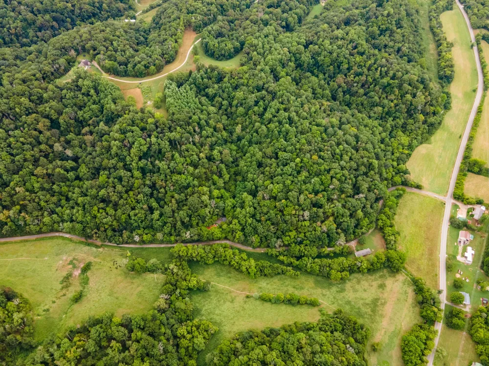 3045 Robert Skelley Rd Columbia, TN 38401