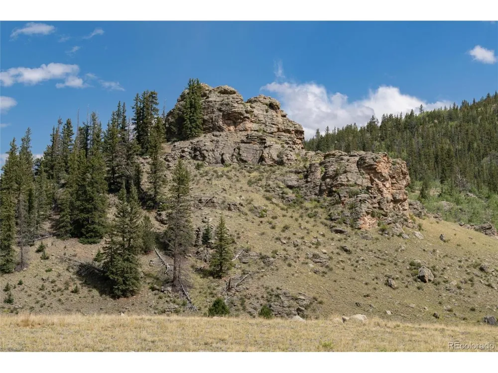 63 Welsh Cob Lane Como, CO 80432