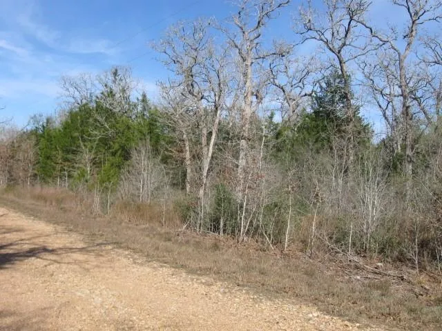 100 Rainbow Circle Somerville, TX 77879