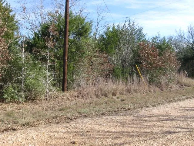 100 Rainbow Circle Somerville, TX 77879