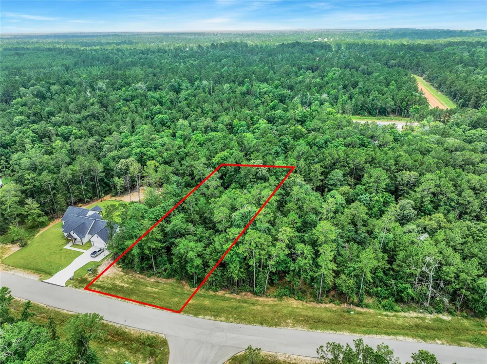 103 Eagle Run Road Willis, TX 77378