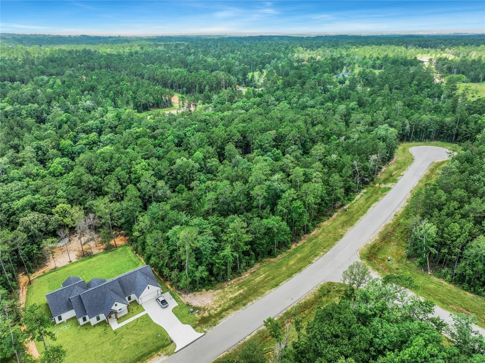 103 Eagle Run Road Willis, TX 77378