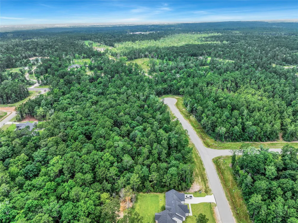 103 Eagle Run Road Willis, TX 77378