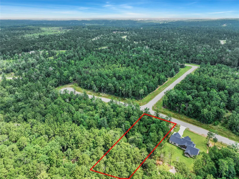 103 Eagle Run Road Willis, TX 77378