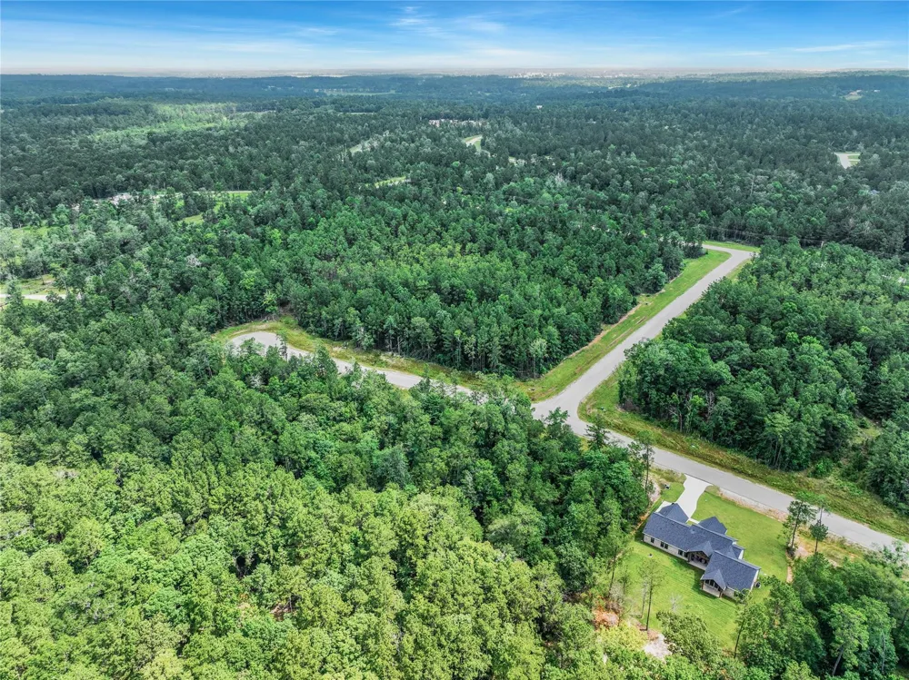 103 Eagle Run Road Willis, TX 77378